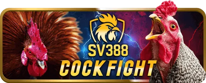 Đá gà cựa dao kịch tính ga28